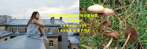 хмурый Баксан